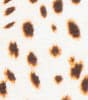 Cheetah Spots Moderate Bottom